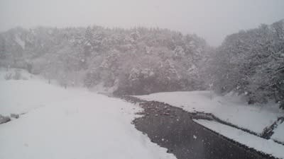 粉雪です。