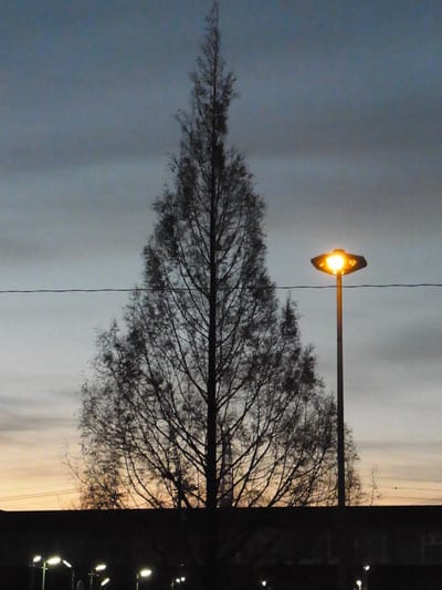 f/4.5 1/68s ISO-2468