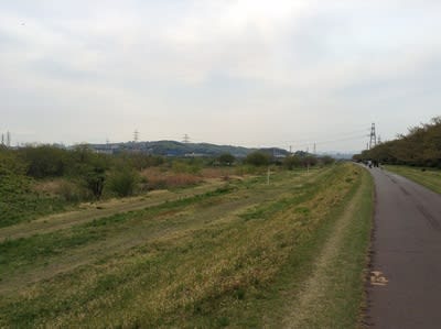 自転車乗りが凄く多い。