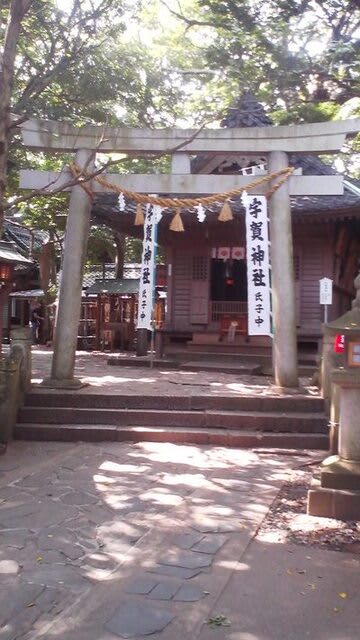 今度こそ幻想郷入りを（ｒｙ